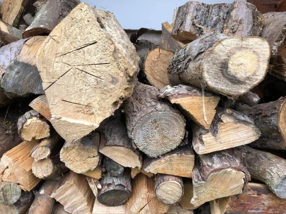 Chata U Smoliku Borovany  Luaran gambar
